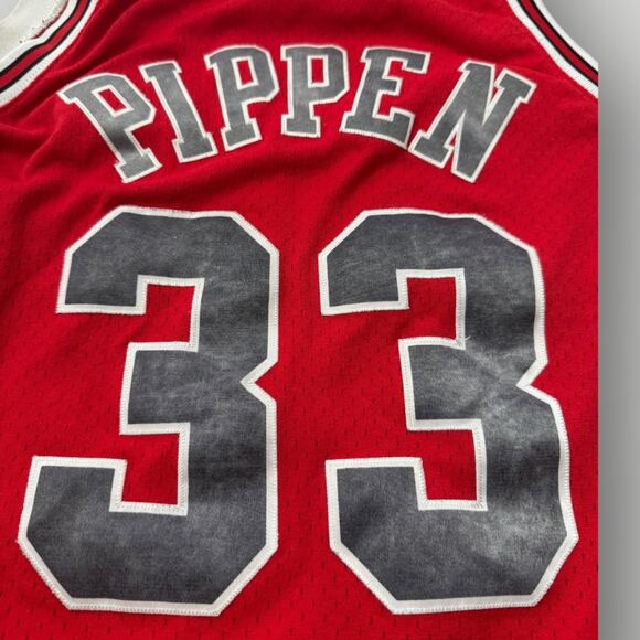 NBA Jersey Chicago Bulls Scottie Pippen 33 sz L - Picture 9 of 14
